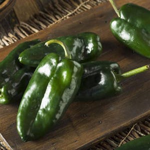 Poblano Ancho Hot Pepper Heirloom Seeds