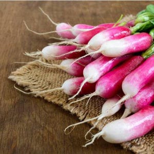 French Breakfast Heirloom Radish Seeds - Organic, Non-GMO image 4