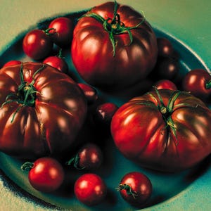 Black Brandywine Heirloom Tomato Seeds