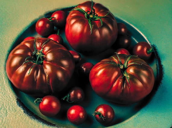 Black Brandywine Heirloom Tomato Seeds
