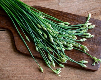 Heirloom Garlic Chives Seeds - Organic, Non-GMO