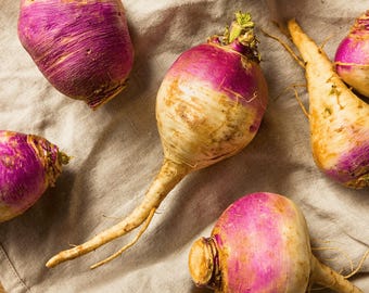 Heirloom Purple Top Rutabaga Seeds - Organic, Non-GMO