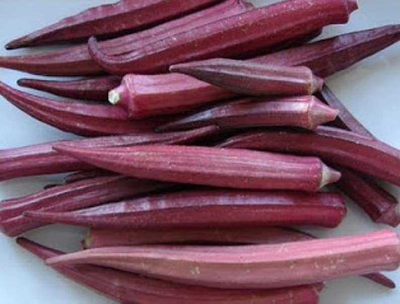 Heirloom Okra Red Burgundy Seeds Vegetable Garden Organic Seed Etsy