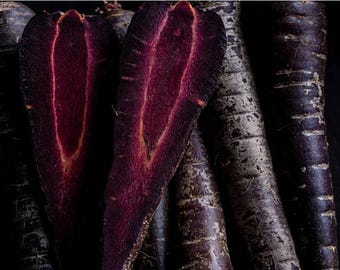 Black Nebula 200+ Heirloom Carrot Seeds - Organic, Non-GMO