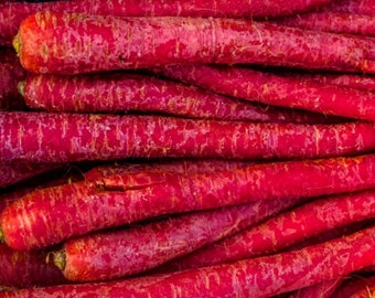 Heirloom Atomic Red Carrot Seeds Vegetable Garden Organic Seed Non Gmo