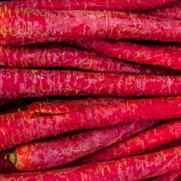 Heirloom Atomic Red Carrot Seeds - Organic, Non-GMO