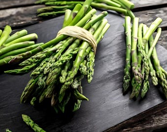 Mary Washington Heirloom Asparagus Seeds - Organic, Non-GMO