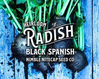 Black Spanish Heirloom Radish Seeds - Organic, Non-GMO