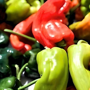 Cubanelle Heirloom Sweet Pepper Seeds