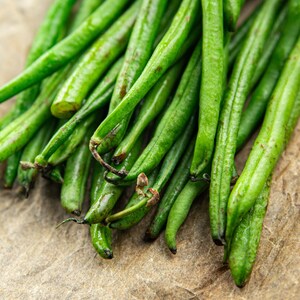 thumbnail image 2 of Slenderette Bush Bean Seeds - 500+ Non-GMO Seeds - Great Tasting & Healthy 2 of 4