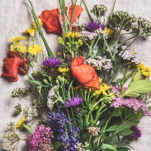 Izzie's Cut Flower Blend Heirloom Wildflower Seeds, Perennial & Annual Pollinator Mix image 2