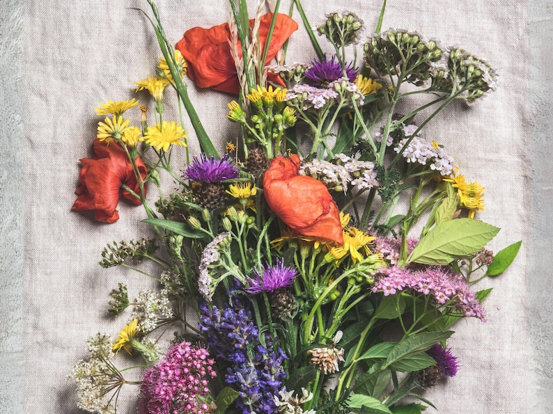 Izzie's Cut Flower Blend Heirloom Wildflower Seeds, Perennial & Annual Pollinator Mix image 2