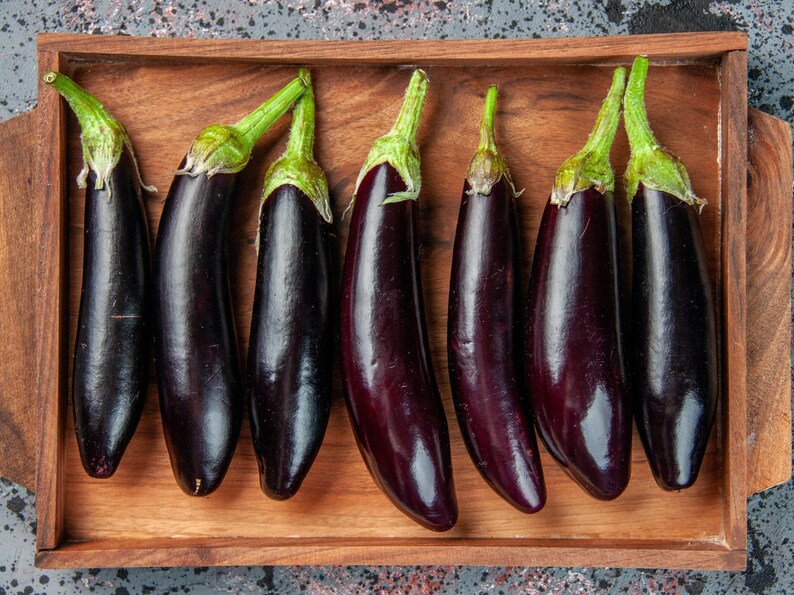 Fingerling Mix Eggplant Heirloom Seeds - Good for Containers, Patio & Balcony, Organic, Non-GMO image 3