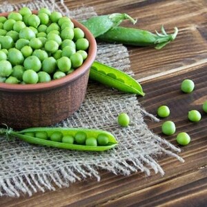 May include: A brown bowl filled with fresh green peas, with additional peas scattered on a burlap surface and a wooden background. There are also several green pea pods.