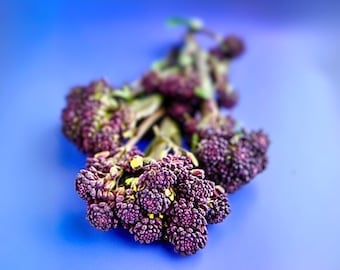 Early Purple Sprouting Broccoli Seeds - Heirloom Vegetable, Organic, Non-Gmo