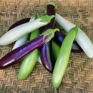 Fingerling Mix Eggplant Heirloom Seeds - Good for Containers, Patio & Balcony, Organic, Non-GMO image 1