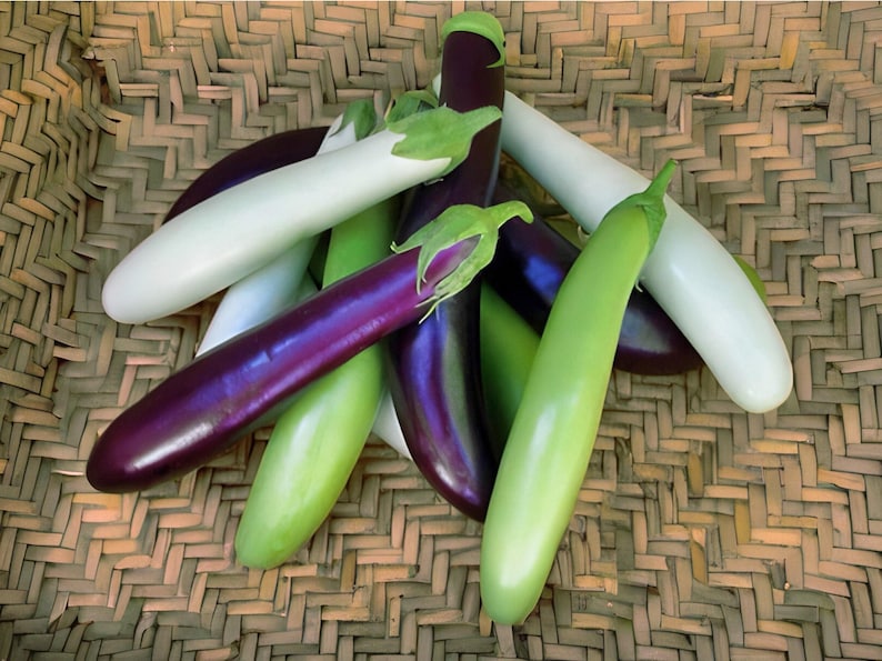 Fingerling Mix Eggplant Heirloom Seeds - Good for Containers, Patio & Balcony, Organic, Non-GMO image 1