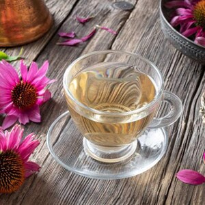 Heirloom Echinacea Purple Coneflower Seeds afbeelding 4