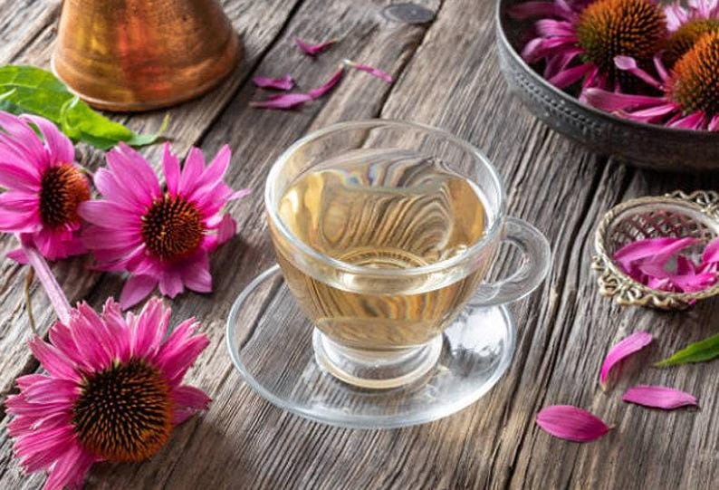 Heirloom Echinacea Purple Coneflower Seeds afbeelding 4