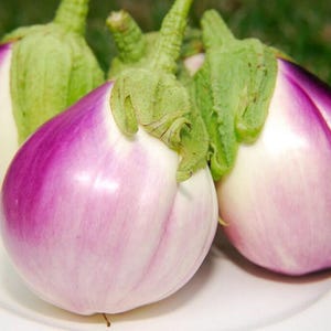 Heirloom Rosa Bianca Eggplant Seeds