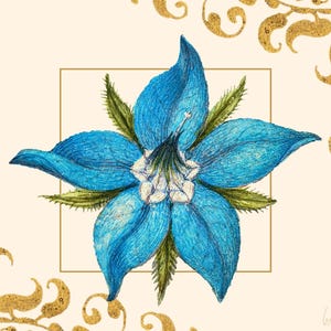 Borage Heirloom Herb Seeds - Medicinal Tea Garden, Attracts Pollinators & Beneficial Insects, Non-GMO