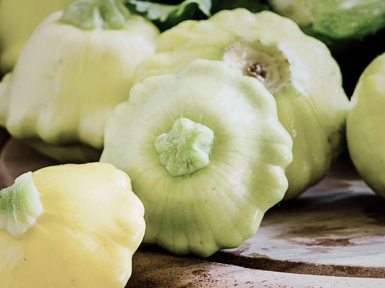 NimbleNitecap Patty Pan Summer Squash Seeds - Thumbnail 5