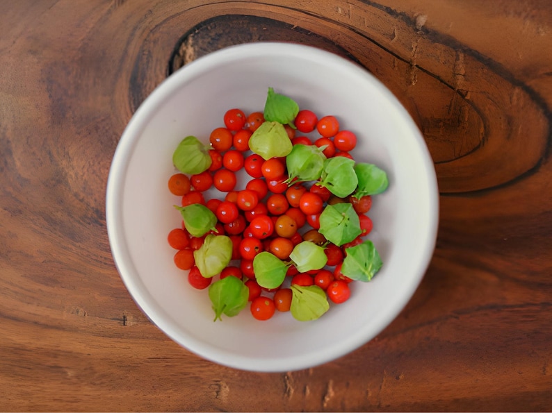 A white bowl filled with red Ashwagandha berries and green husks, including small red Ashwagandha berries and green leaves, sits on a wooden surface.
