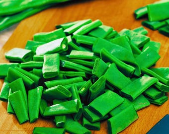 Roma II Bush Bean Seeds:  Italian Heirloom Romano Flat Green Beans,  Open-Pollinated