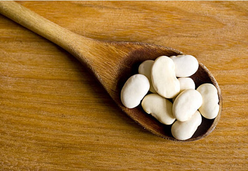 Heirloom Lima Bean King of the Garden Vegetable Seed Organic Etsy