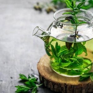 May include: A glass teapot filled with fresh green mint leaves and water. The teapot is sitting on a wooden slice.
