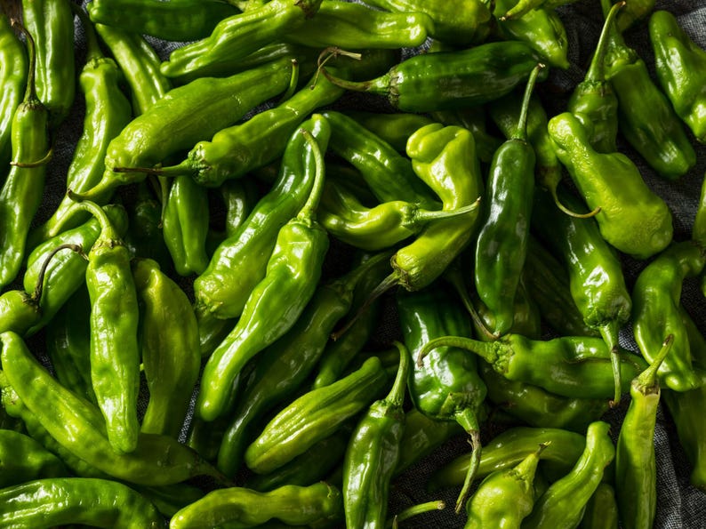 NimbleNitecap Shishito Pepper Seeds - Thumbnail 2