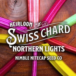 Northern Lights 50+ Heirloom Swiss Chard Seeds
