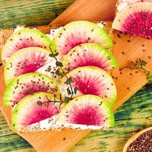 Watermelon Heirloom Radish Seeds  - Organic, Non-GMO