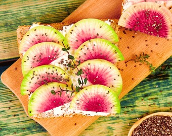 Watermelon Heirloom Radish Seeds  - Organic, Non-GMO