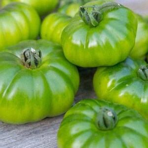 May include: Close-up of green tomatoes with a ribbed texture. The tomatoes are arranged on a wooden surface.