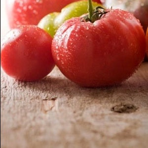 Heirloom Mortgage Lifter Tomato Seeds - Organic, Non-GMO