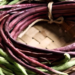 Heirloom Red Yard Long  Bean Seeds - Organic, Non-GMO