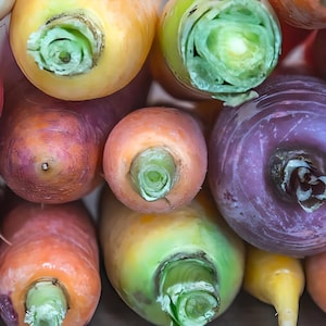 Heirloom Rainbow Blend Carrot Seeds - Organic, Non-GMO