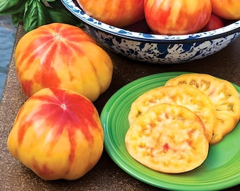 May include: Close-up of three sliced yellow and red striped tomatoes on a green plate. The tomatoes have a bright yellow interior with red streaks. There are whole tomatoes in the background.