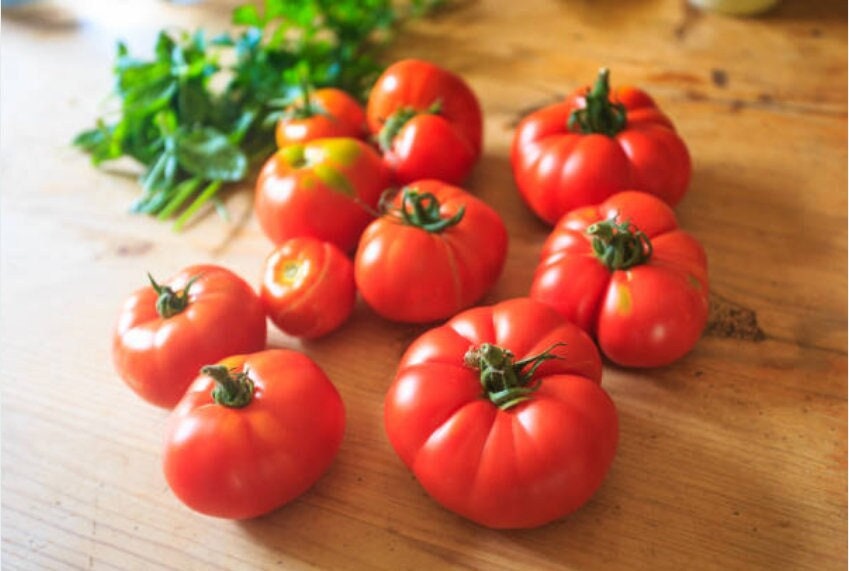 thumbnail image 2 of 50 Bush Beefsteak Tomato Seeds – Fresh Heirloom Vegetable Seeds For Spring Planting 2 of 3