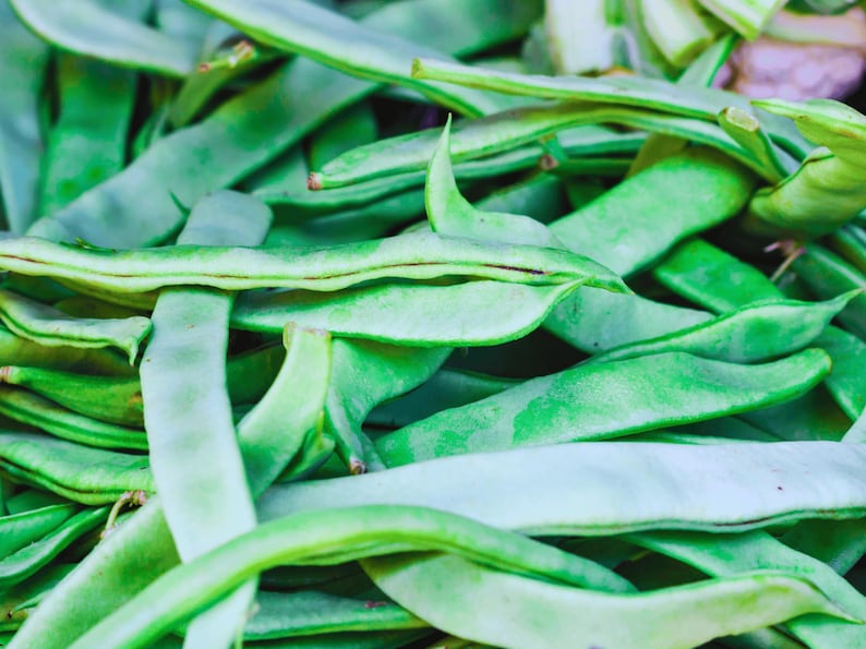 A close-up image of green beans or peas, with their long, slender stalks and pods visible.