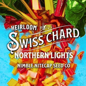Swiss Chard, Northern Lights Heirloom Seeds - Colorful & Nutritious, Vivid Microgreens, Open Pollinated, Non-GMO