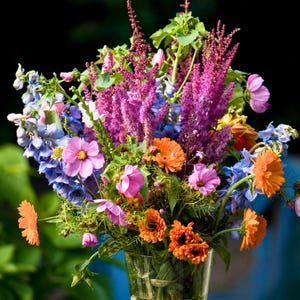 Izzie's Cut Flower Blend Heirloom Wildflower Seeds, Perennial & Annual Pollinator Mix image 4
