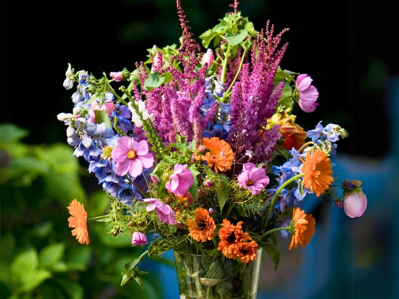 Izzie's Cut Flower Blend Heirloom Wildflower Seeds, Perennial & Annual Pollinator Mix image 4