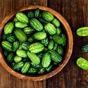 Mouse Melon (Cucamelon) - 15+ Heirloom Seeds, Container Friendly, Mexican Sour Gherkin, Sandita (Melothria scabra)