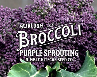 Purple Sprouting Broccoli Heirloom Seeds