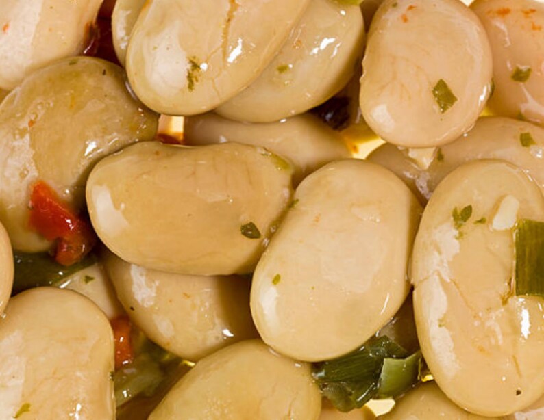 Heirloom Lima Bean King of the Garden Vegetable Seed Organic Etsy