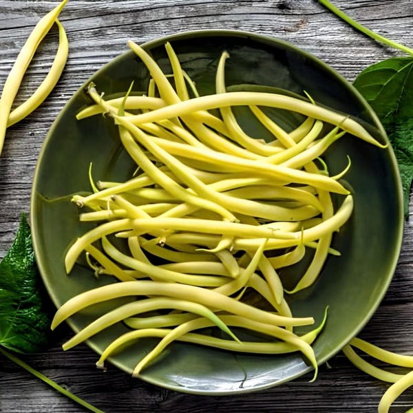 Heirloom Gold Rush Bush Bean Seeds - Organic, Non-GMO