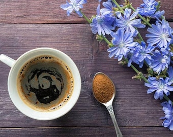 Chicory Heirloom Herb Seeds: Coffee Substitute, Electric Blue Flowers