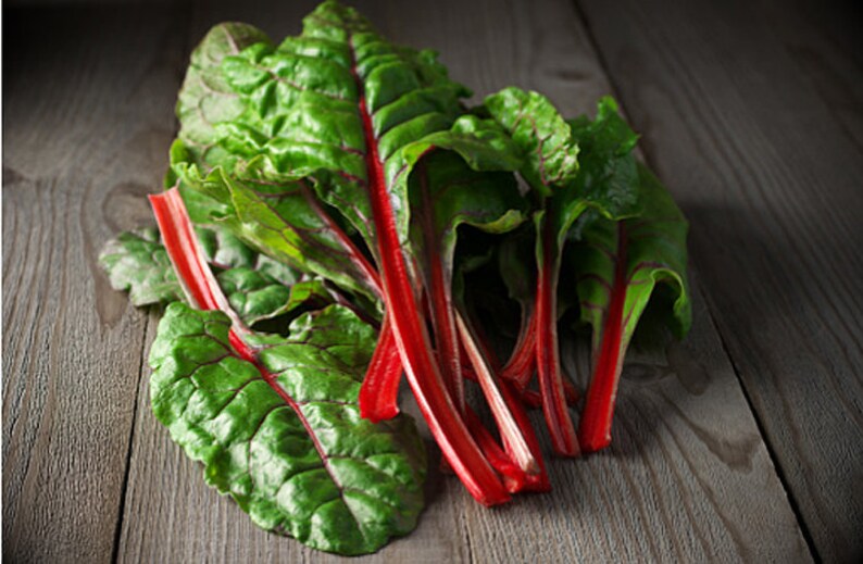 Heirloom Ruby Red Swiss Chard Seeds image 5